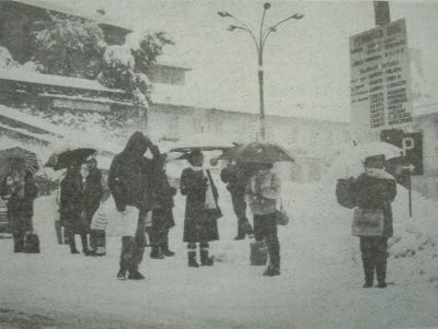 CantÃ¹, 26 gennaio 1985
