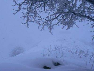 Prealpi del triangolo lariano - 5 gennaio
