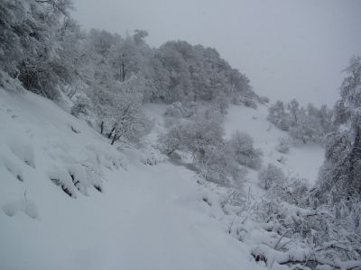 Monte Generoso - 16 febbraio 2011
