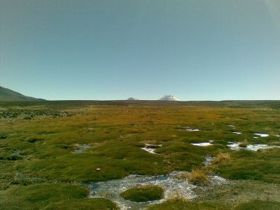 Parque Nacional Lauca
