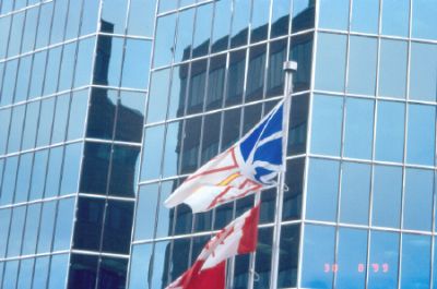 Bandiere di Terranova e canadese
