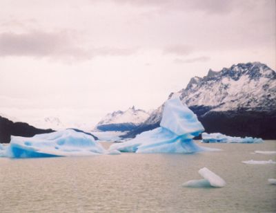 Lago Grey
