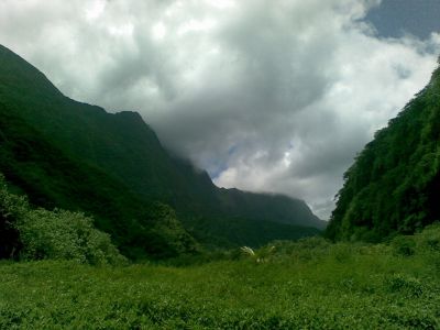 Tahiti - l'interno dell'isola - VallÃ©e de Papenoo
