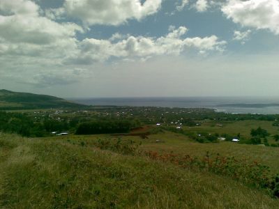 Puna Pau
