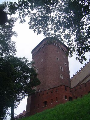 Cracovia - castello del Wawel
